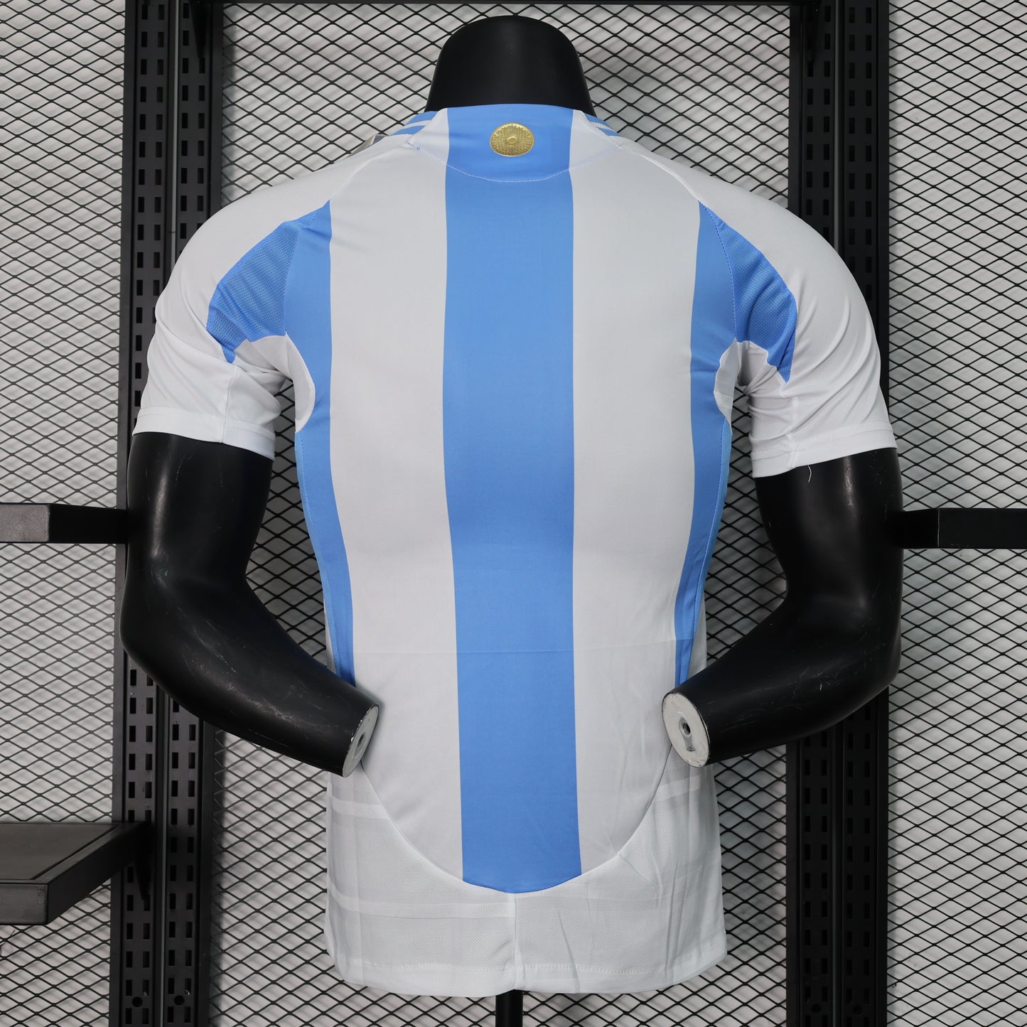 2024 player Argentina Home